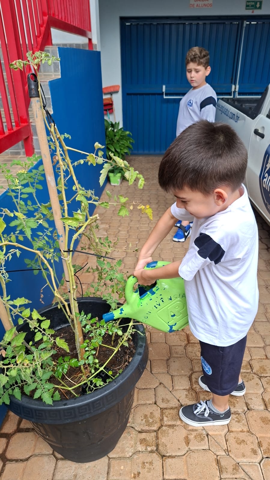 WhatsApp Image 2026-02-02 at 11.24.31.jpeg